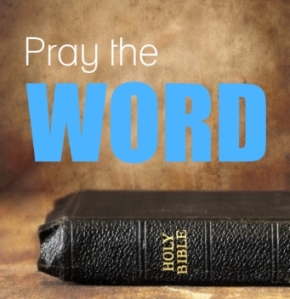 pray the word